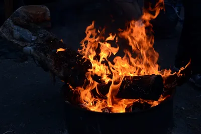 DSC_3717 (Large).JPG